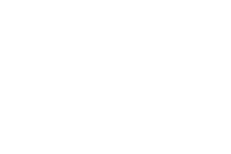 Logotipo VOSS
